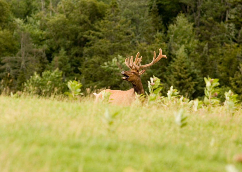 #11. Vermont